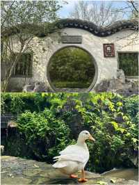 湖州中伏已回 唔建議去