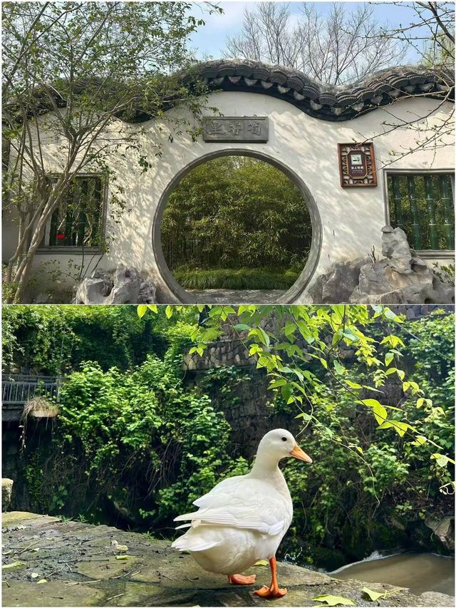 湖州中伏已回 唔建議去