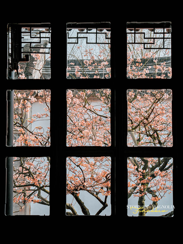 Experience the Enchanting Spring in Suzhou