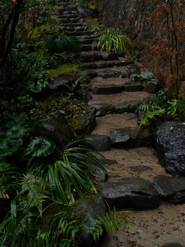 明月松間｜“一場春雨與落花的私奔”