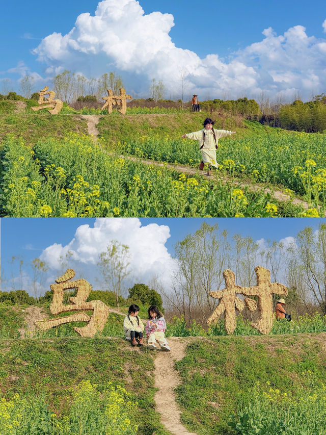 上海2小時到烏鎮烏村做一回小村民