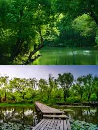 杭州西溪國家濕地公園超全旅遊攻略
