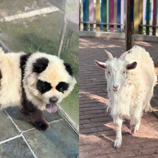 松江森系親子酒店標竿｜萬豪獨立品牌