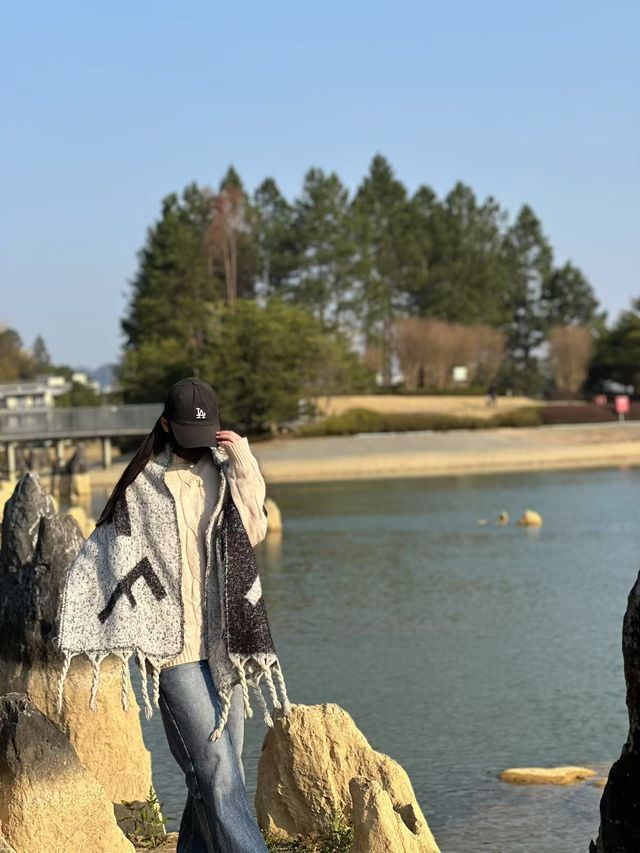 清遠的北歐暮光松林