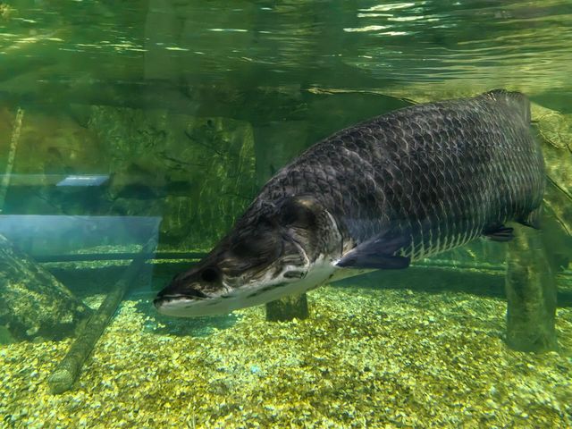 蘭州野生動物園攻略！看萌獸逛海洋，親子遊必打卡