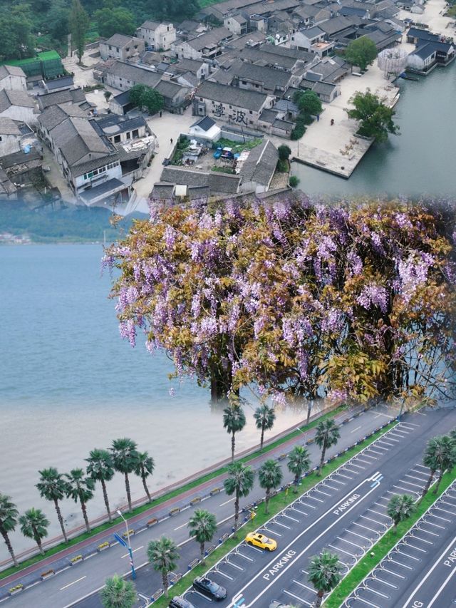 寧波旅行兩天一夜怎麼玩？沉浸式度假全指南