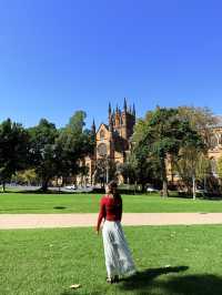 시드니 피크닉 명소 알려드릴게요🇦🇺