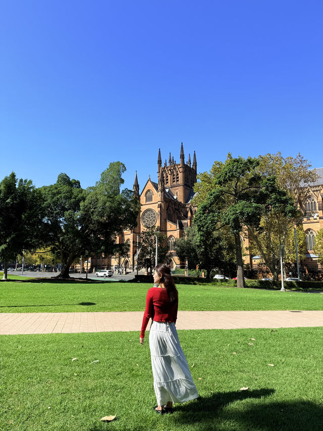 시드니 피크닉 명소 알려드릴게요🇦🇺