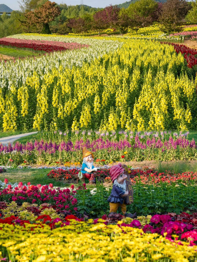 大連英歌石植物園，賞花遛娃兒一站式