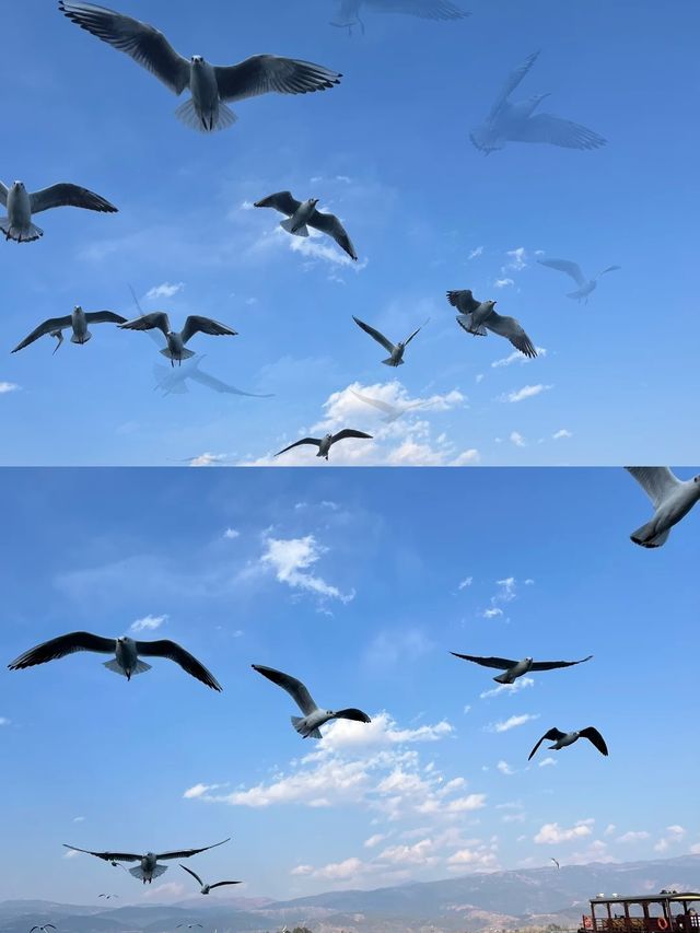 西昌五一本地朋友推薦嘅小眾玩法