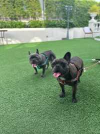 探索曼谷嘅完美住所：The Quartier Hotel Phrom Phong The 