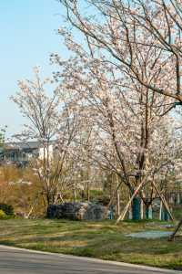 蘇州｜週末度假勝地陽澄湖畔嘅一場江南夢