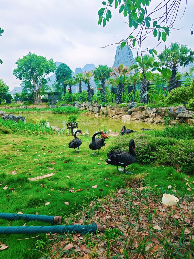 崇左旅行，躺在山間裡自由呼吸的氧吧酒店
