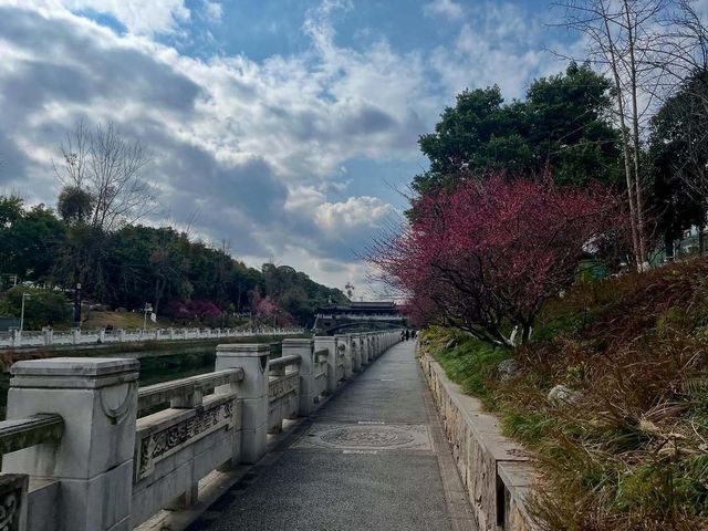 成都春日漫遊｜在浣花溪公園邂逅詩意與花開