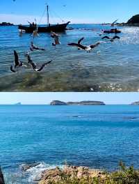 連夜整理5月大連旅行天花板攻略！附避坑