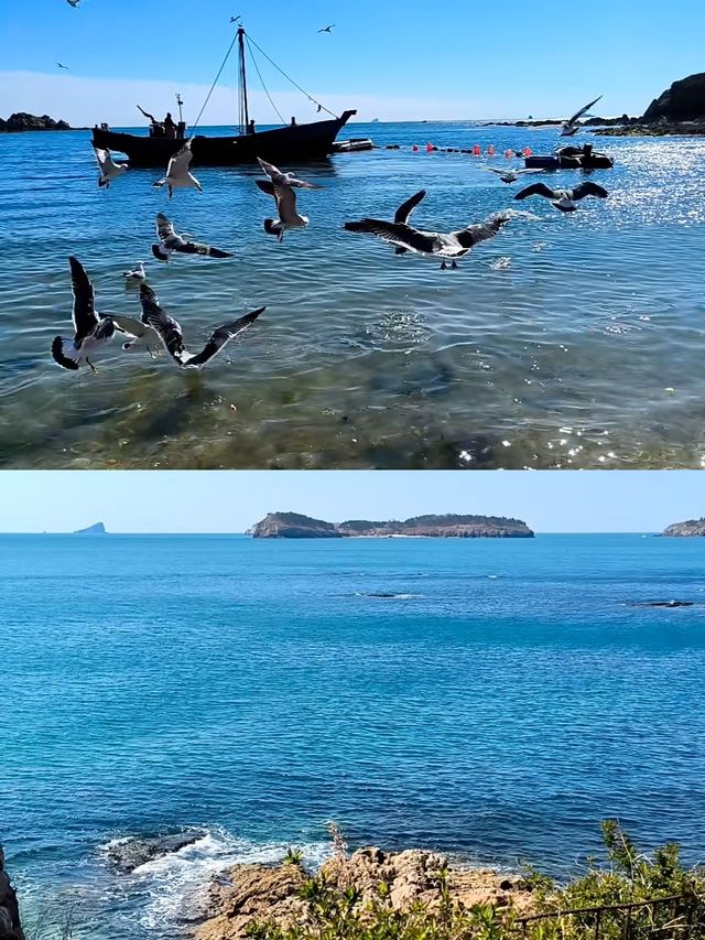連夜整理5月大連旅行天花板攻略！附避坑