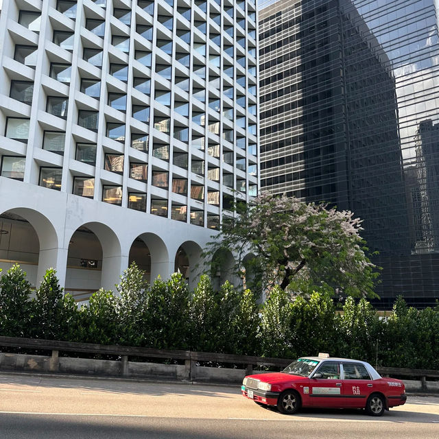 🇭🇰香港公園 | 藏在鬧市裡的綠洲