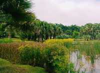 Kunming Botanical Garden: A Botanical Paradise in Southwest China