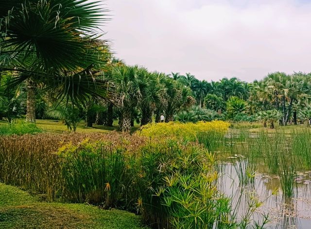 Kunming Botanical Garden: A Botanical Paradise in Southwest China