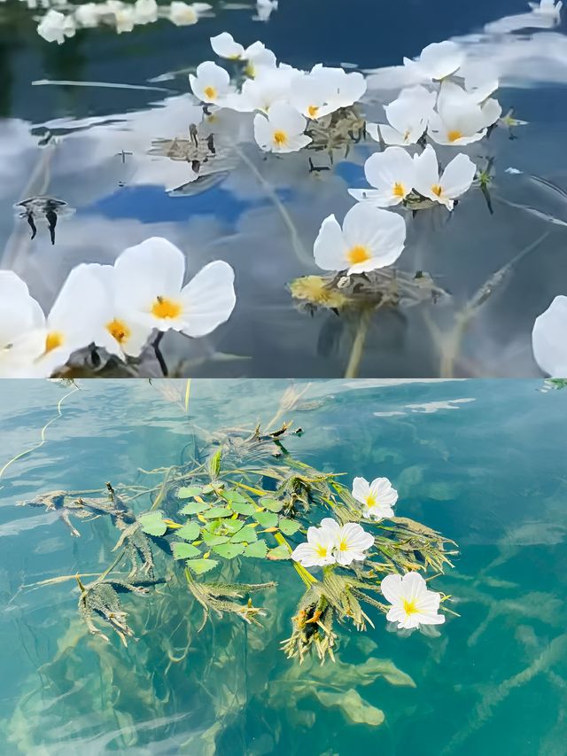 瀘沽湖｜闖入摩梭秘境，48小時慢生活指南