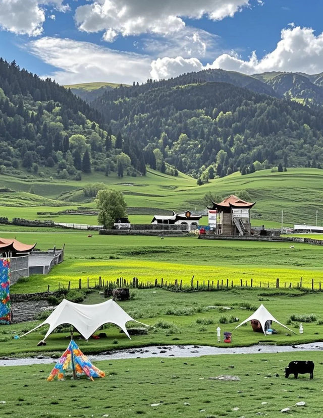 康定之旅：邂逅浪漫與自然