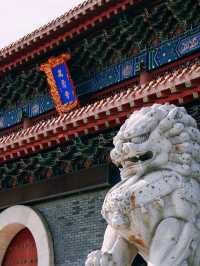 長春萬壽寺︳端午粽情祈福