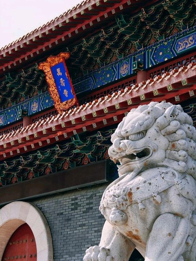 長春萬壽寺︳端午粽情祈福
