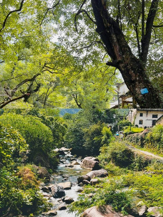 石台旅行速覽！高效遊玩指南！