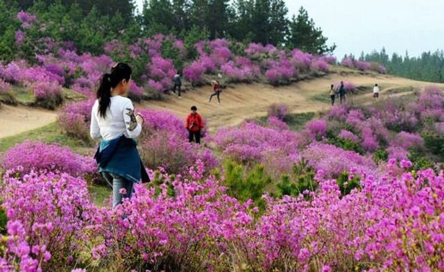 詩意嘅中國雙鴨山站：雙鴨山景點推薦