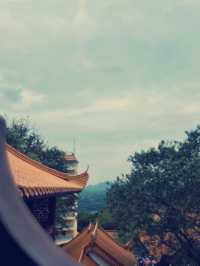 深圳弘法寺｜尋覓心靈淨土的奇幻之旅