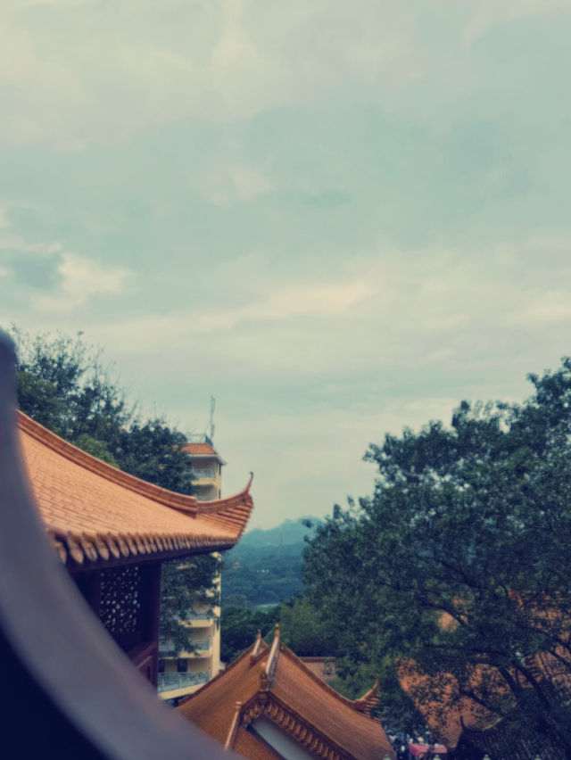 深圳弘法寺｜尋覓心靈淨土的奇幻之旅