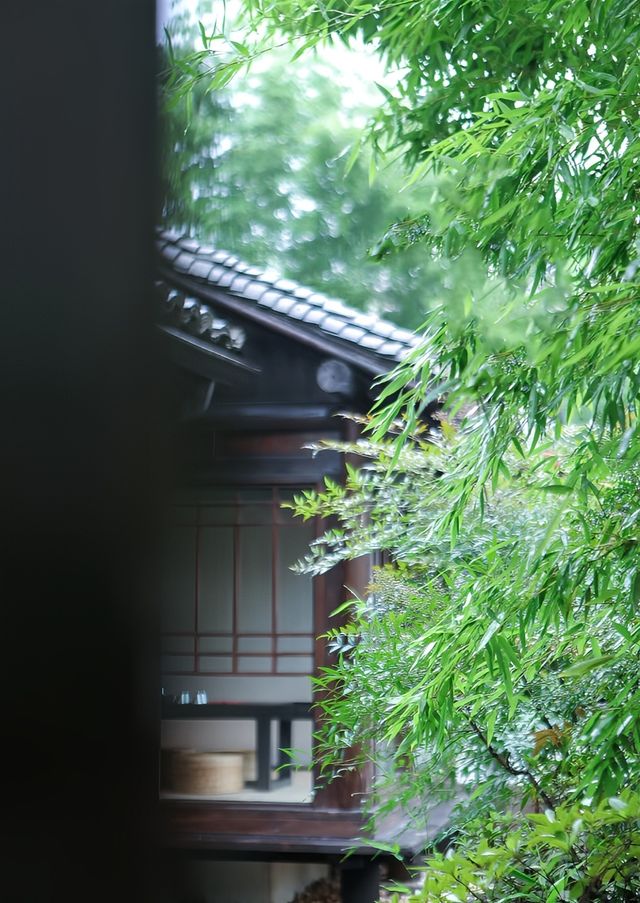 所見西溪｜杭州最有江南詩意的隱居之地