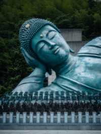 探索騰林蔓谷｜綠野仙蹤，邂逅九州