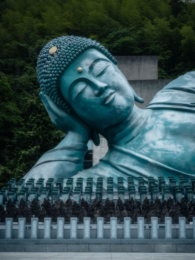 探索騰林蔓谷｜綠野仙蹤，邂逅九州