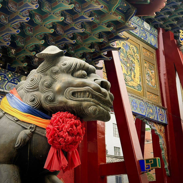 Bustling Xi’an 🏯🏮