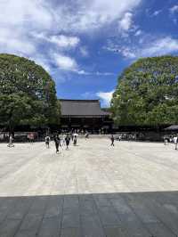 Budget The Big City, Top Tokyo Tips! Not As Expensive As You Think 💰 🤩 