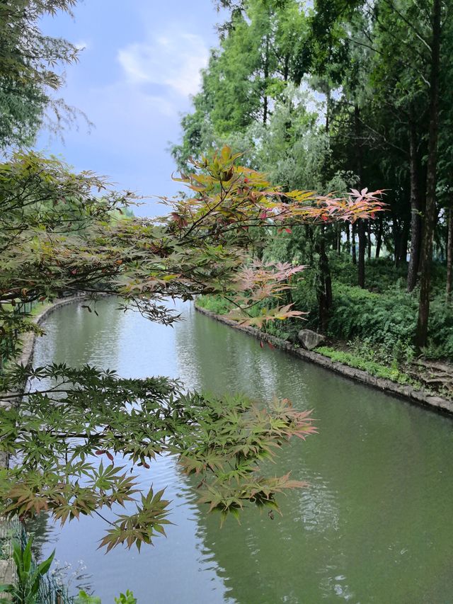 堪稱上海農家樂第一嘅畫一