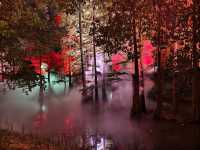 Some places are too peaceful to be famous: Discover a Hidden Gem 40 min from Yiwu