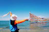 遊玩青海湖，與海鷗共舞