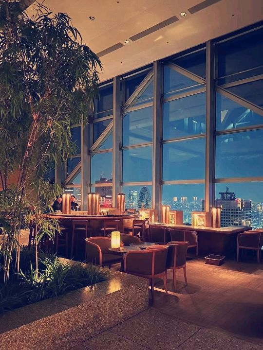 東京天際絕景！柏悅酒店空中泳池奢華體驗