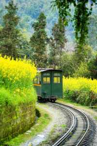 救命！我又搵到個冷門又有味道嘅縣城：四川樂山犍為