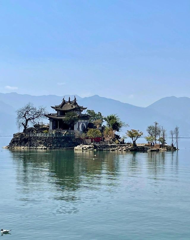 打卡白鹿同款洱海