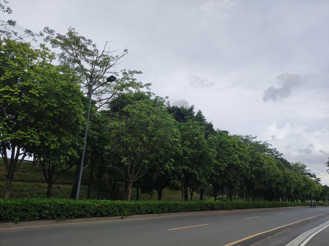《深圳慢旅，蔚徕酒店的治癒時光》