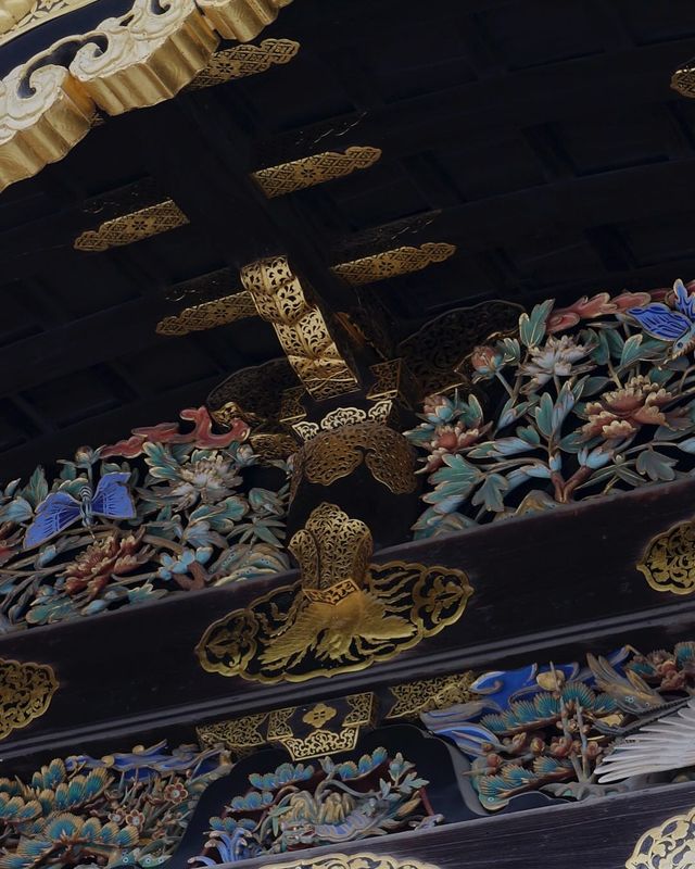 跟團打卡古都攻略，大阪/京都出發