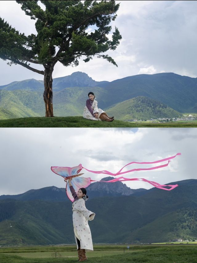 與小鹿共度假期的香格里拉莊園！
