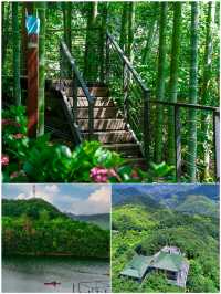 喺莫干山留咗3日，我嘅消費觀徹底崩塌咗