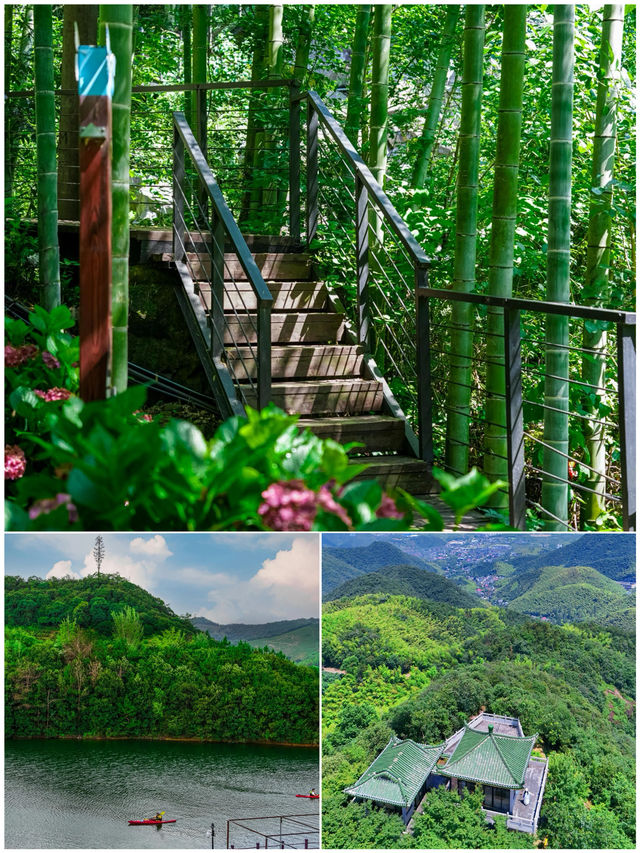 喺莫干山留咗3日，我嘅消費觀徹底崩塌咗