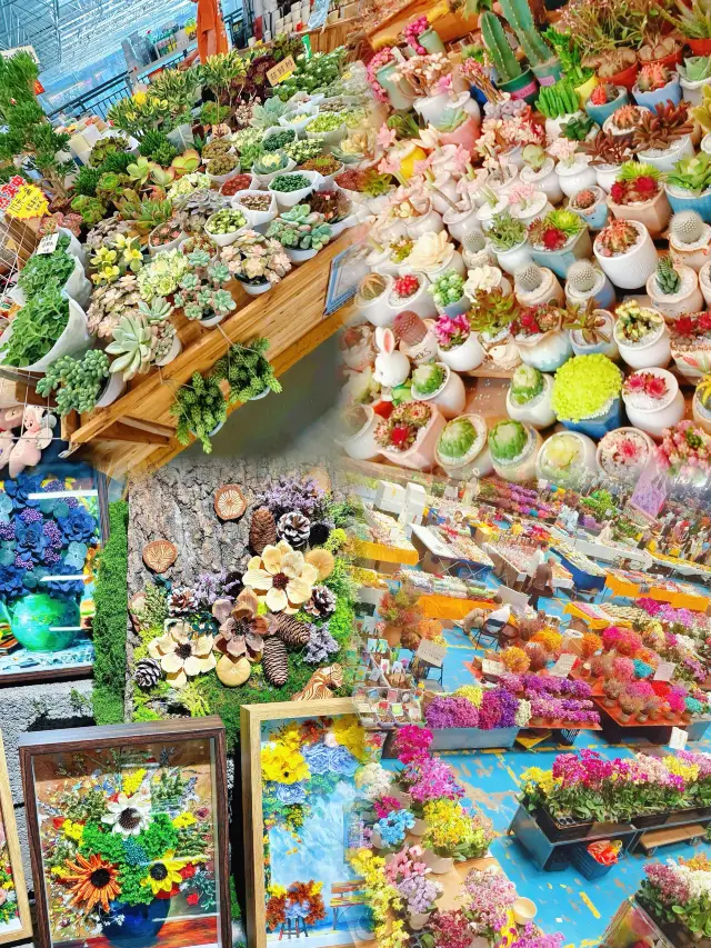 Can't keep it a secret anymore, Kunming in Yunnan is already showcasing its autumn charm