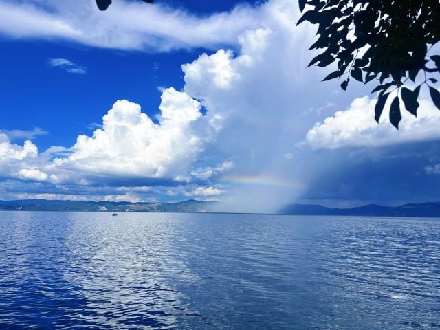 睇勻昆明撫仙湖花海