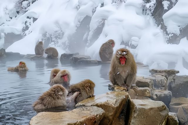 長野旅遊  小眾秘境與人氣打卡。